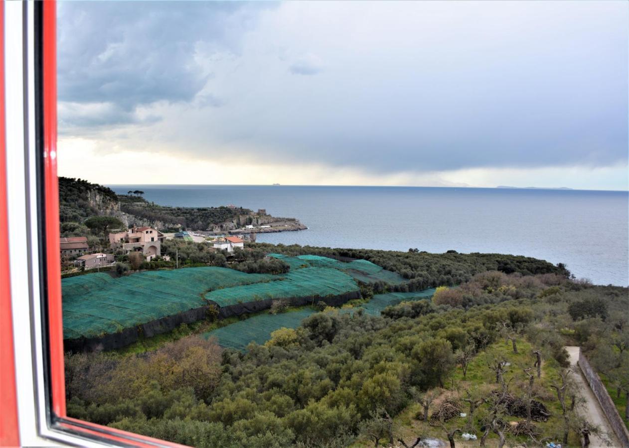 Hotel Dania Σορέντο Εξωτερικό φωτογραφία