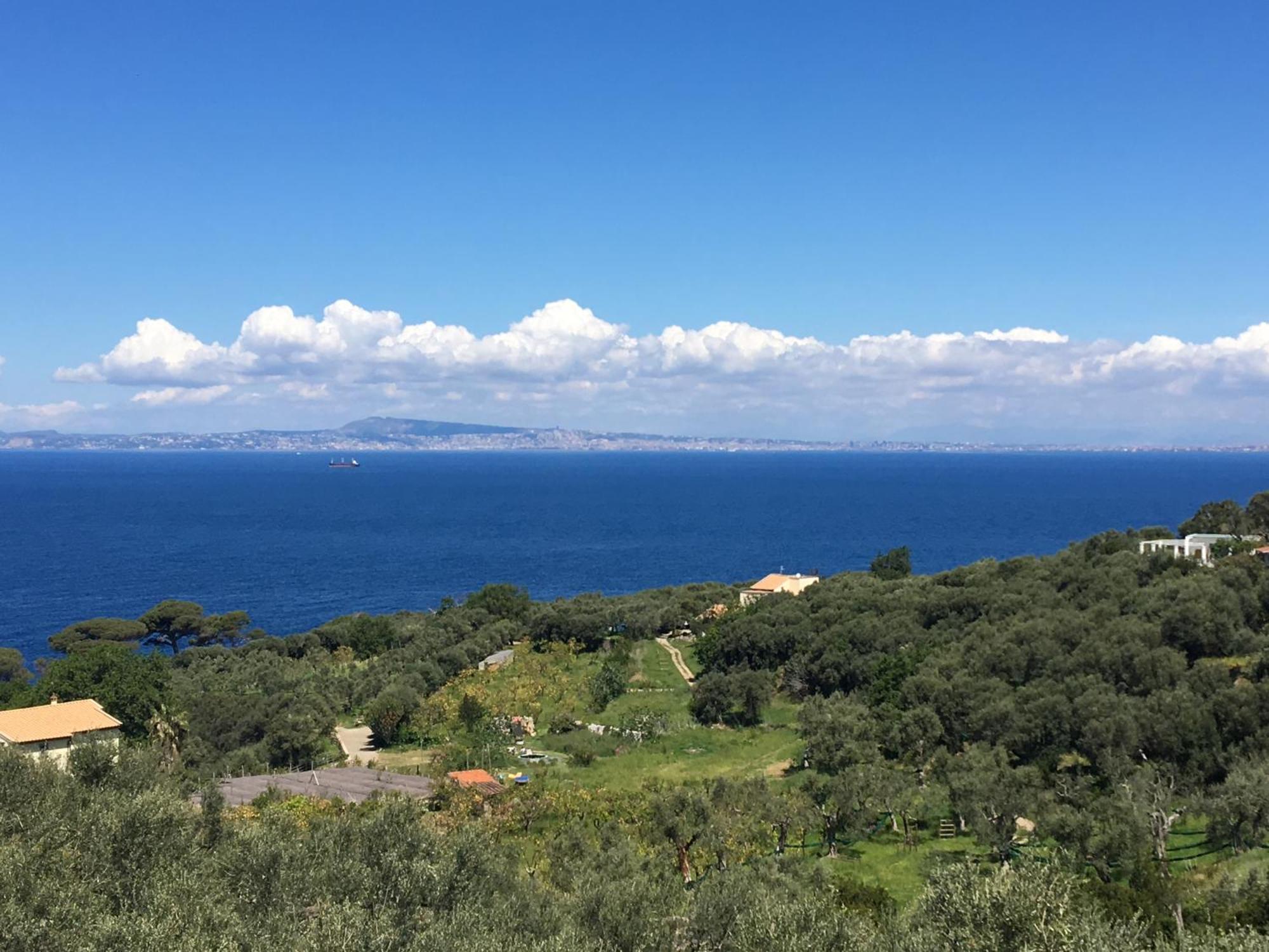 Hotel Dania Σορέντο Εξωτερικό φωτογραφία