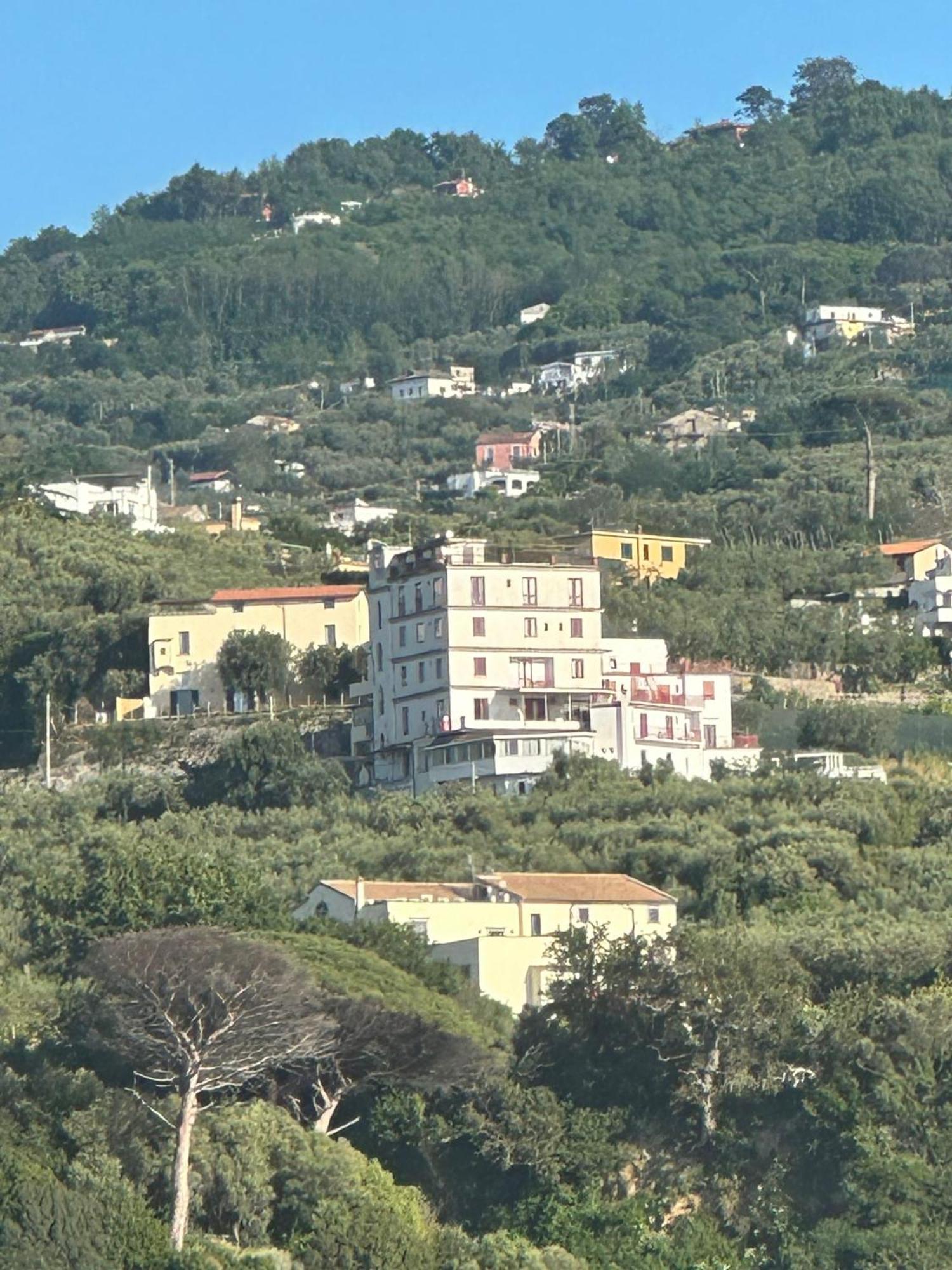 Hotel Dania Σορέντο Εξωτερικό φωτογραφία