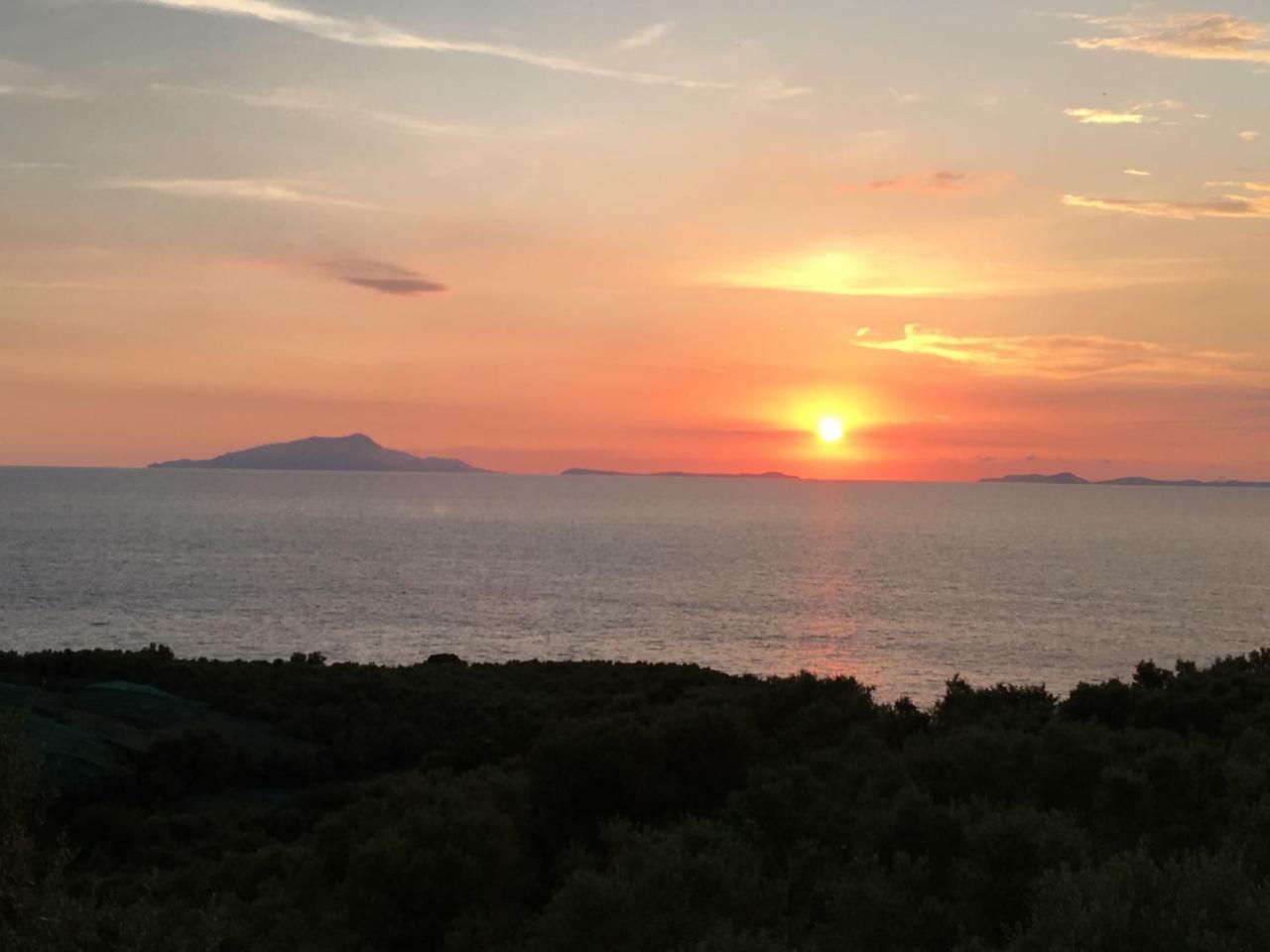 Hotel Dania Σορέντο Εξωτερικό φωτογραφία